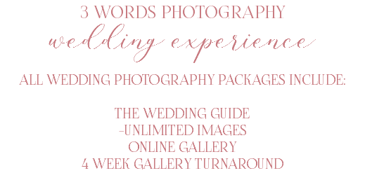 3 WORDS PHOTOGRAPHY wedding experience ALL WEDDING PHOTOGRAPHY PACKAGES INCLUDE: THE WEDDING GUIDE -UNLIMITED IMAGES ONLINE GALLERY 4 WEEK GALLERY TURNAROUND